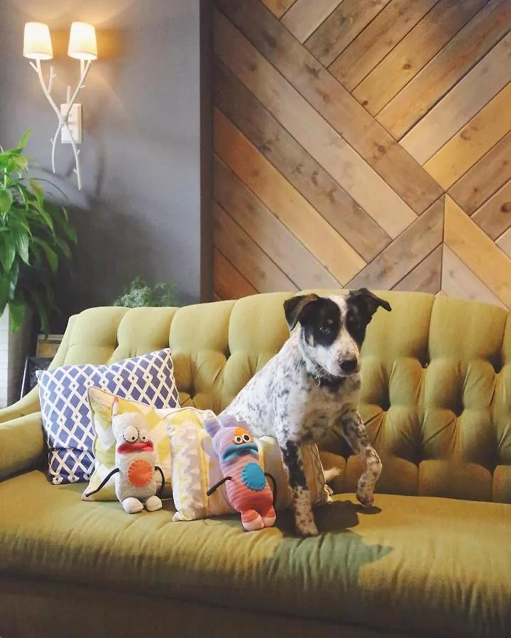 ****  Summit Lodge Boutique Hotel By Paradox Уистлер Канада