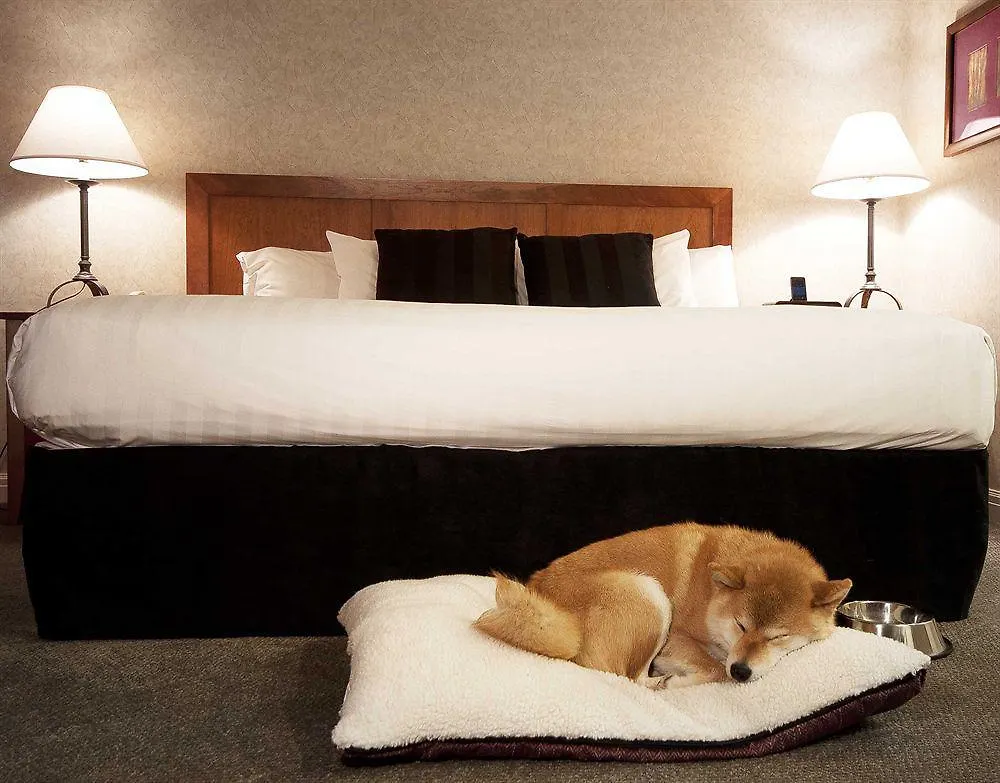 Summit Lodge Boutique Hotel By Paradox Whistler